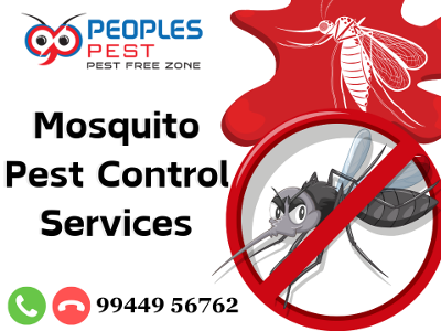 Mosquito Pest Control Services in Trichy